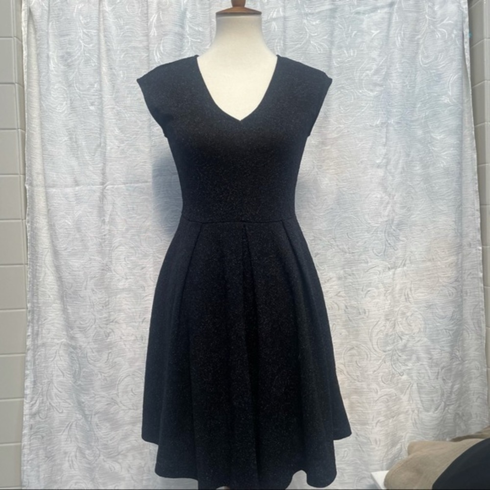 Everly Low Key Shimmery S/S Fit & Flare Dress